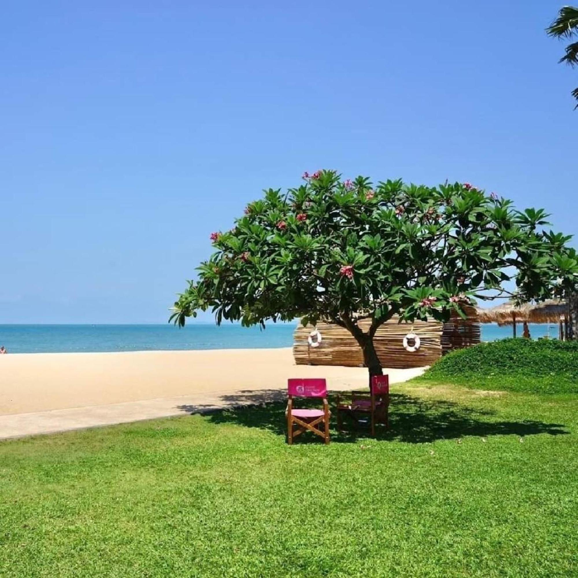 נה ג'ומטיין Botany Beach Resort Pattaya מראה חיצוני תמונה