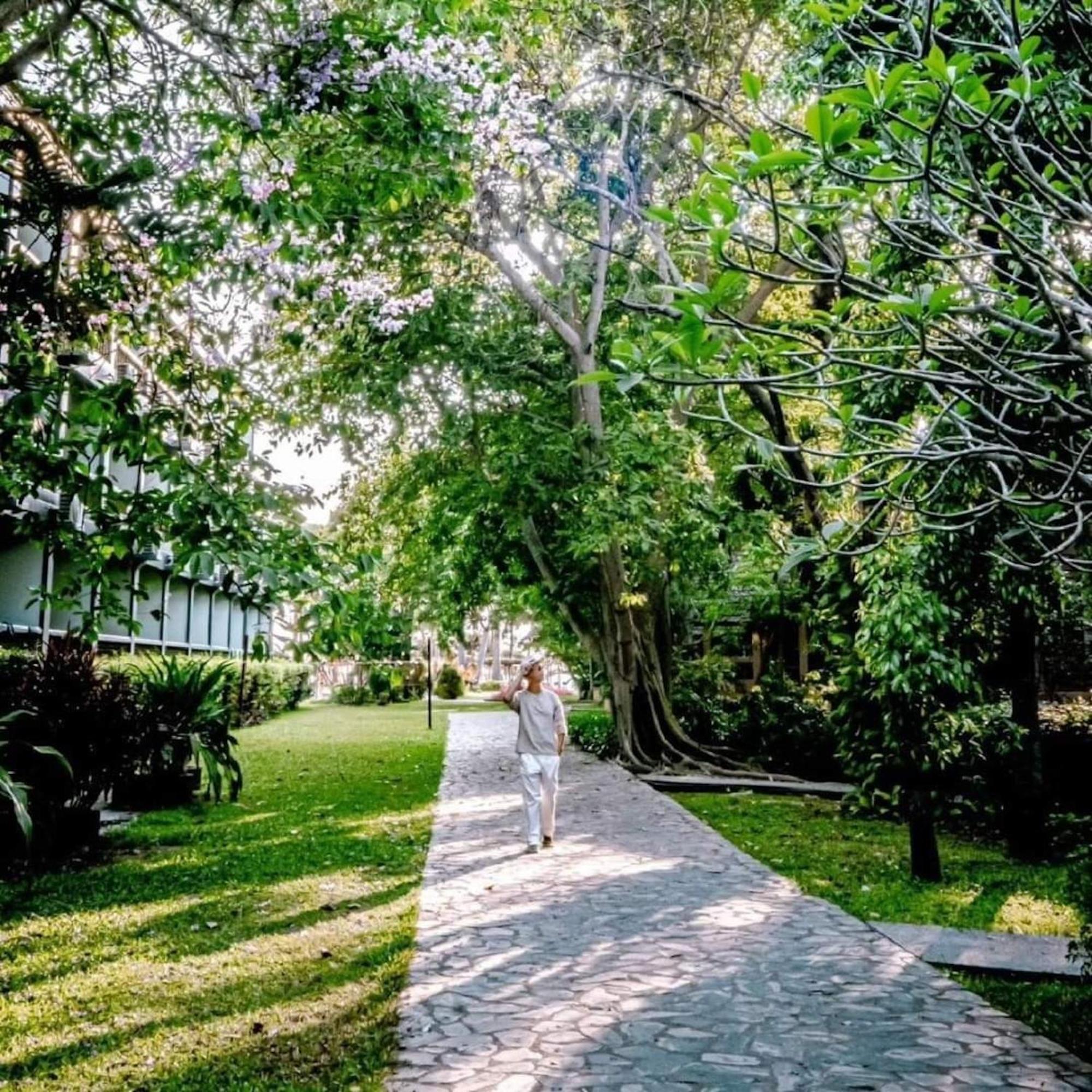 נה ג'ומטיין Botany Beach Resort Pattaya מראה חיצוני תמונה